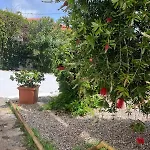 Cascais, T2 With Great Garden In Estoril, Livramento Apartman Estoril