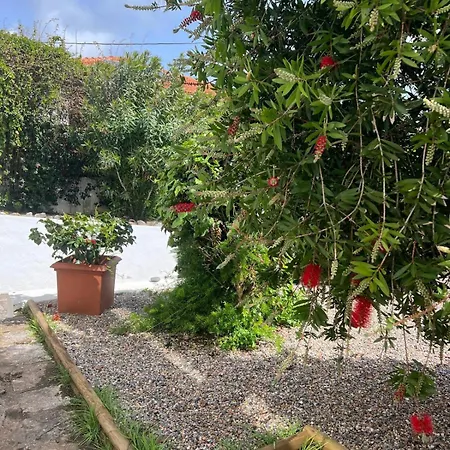 Cascais, T2 With Great Garden In Estoril, Livramento Apartamento Estoril